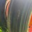 1952-allis-chalmers-wd-image-22