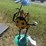#95-•-metal-art---bumble-bee-w/-flower-&-umbrella-image-1
