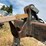 case-ih-3-image-10