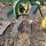 john-deere-pull-type-two-bottom-plow-image-12