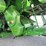 2010-john-deere-9670-sts-image-4