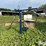 lewis-cattle-oiler-image-3