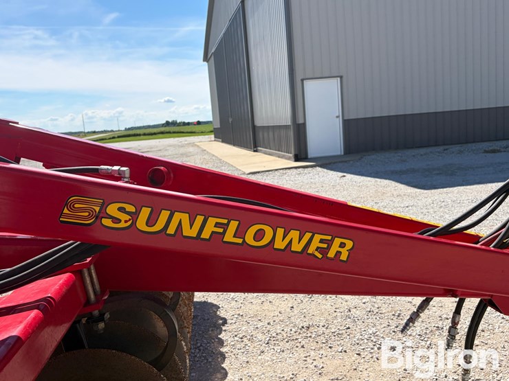 2011-sunflower-4213-image-11