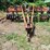 allis-chalmers-1500-image-2