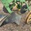 john-deere-pull-type-two-bottom-plow-image-13