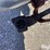 peck-1002-image-15