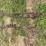 #9961-•-tractor-tire-chains-image-1