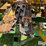 claas-830-image-15