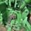 2010-john-deere-7830-image-26
