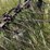 john-deere-dump-day-rake-6972-image-8