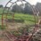 8ft-hay-ring-image-1