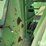 2001-john-deere-7455-image-11