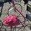 #145-•-metal-art---pink-flamingo-image-1