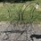 #157-•-metal-art---butterfly-bench-image-1