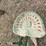 john-deere-one-bottom-plow-image-14