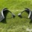 new-holland-8360-image-4