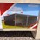 19×11×8-livestock-shed-image-6