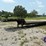 1991-birmingham-t/a-fixed-neck-lowboy-image-1