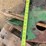 john-deere-corn-head-row-units-image-18
