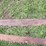 #9957-•-(2)-66"-two-man-saws-image-1