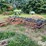 allis-chalmers-1300-image-1