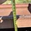 3x-feed-bunks-22x30-6956-image-11