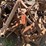 #9939-•-allis-chalmers-front-mount-cultivator-image-3