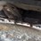 2014-chrysler-town-&-country-image-22