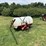 fimco-3pt-sprayer-6404-image-7
