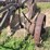 john-deere-2-image-8