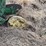 john-deere-pull-type-two-bottom-plow-image-19