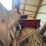 new-holland-28-image-7