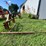 #9923-•-southeast-3-point-round-bale-mover-image-1