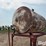 300-gal-fuel-barrel-on-stand-image-9
