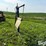 lewis-cattle-oiler-image-6