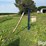 lewis-cattle-oiler-image-2