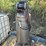 campbell/hausfeld-standing-air-compressor-image-1