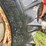 1977-massey-ferguson-255-image-5