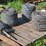 #9941-•-(4)-rolls-of-barbed-wire-image-3