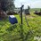 lewis-cattle-oiler-image-6