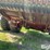 2003-case-ih-1020-image-12