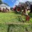 #9923-•-southeast-3-point-round-bale-mover-image-2