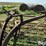 new-holland-56-image-10
