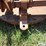 bush-hog-160-image-15