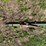 #9557-•-2-point-draw-bar-image-1