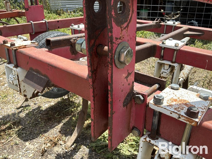 wil-rich-4400-image-13