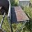 farm-buzz-saw-image-8