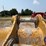 cat-72"-336-excavator-bucket-image-14