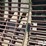 estes-xpr-concaves-for-john-deere-rotor-combine-image-18