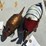 #130-•-metal-art---(2)-armadillos-(texas-&-brown)-image-1